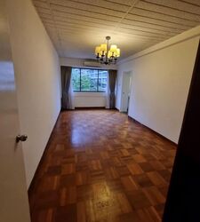 The Cairnhill (D9), Condominium #599723441